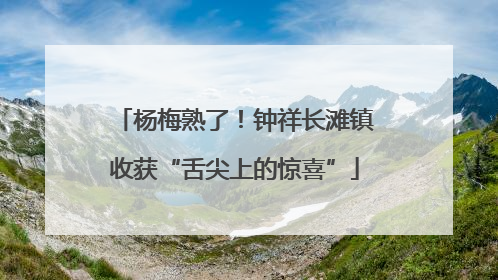 杨梅熟了！钟祥长滩镇收获“舌尖上的惊喜”