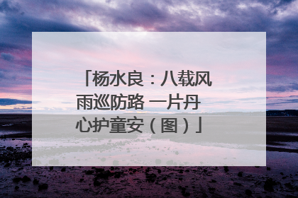 杨水良：八载风雨巡防路 一片丹心护童安（图）