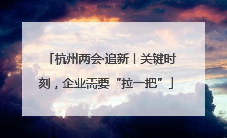 杭州两会·追新丨关键时刻，企业需要“拉一把”