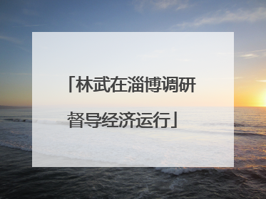 林武在淄博调研督导经济运行