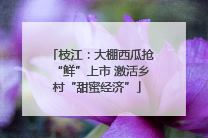 枝江：大棚西瓜抢“鲜”上市 激活乡村“甜蜜经济”
