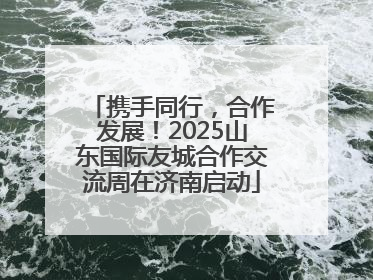 携手同行，合作发展！2025山东国际友城合作交流周在济南启动