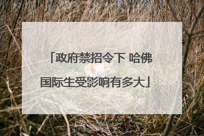 政府禁招令下 哈佛国际生受影响有多大