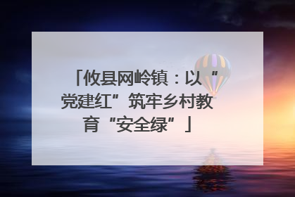 攸县网岭镇：以“党建红”筑牢乡村教育“安全绿”