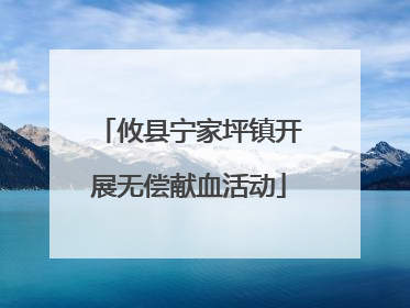 攸县宁家坪镇开展无偿献血活动