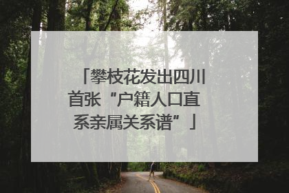 攀枝花发出四川首张“户籍人口直系亲属关系谱”