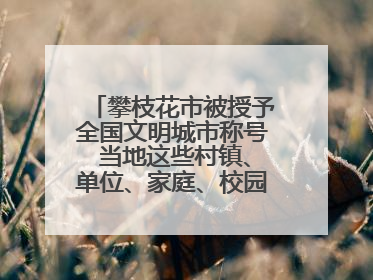 攀枝花市被授予全国文明城市称号 当地这些村镇、单位、家庭、校园也是全国文明！