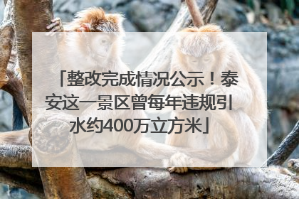 整改完成情况公示！泰安这一景区曾每年违规引水约400万立方米