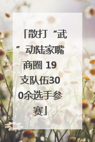 散打“武”动陆家嘴商圈 19支队伍300余选手参赛