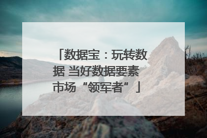 数据宝：玩转数据 当好数据要素市场“领军者”