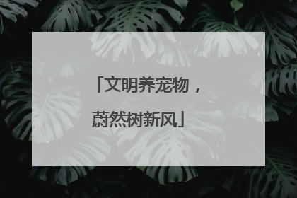 文明养宠物，蔚然树新风
