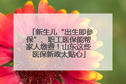 新生儿“出生即参保”、职工医保能帮家人缴费！山东这些医保新政太贴心