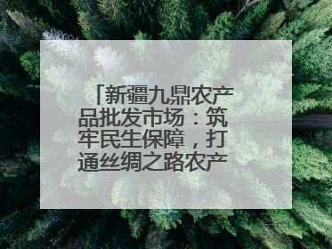 新疆九鼎农产品批发市场：筑牢民生保障，打通丝绸之路农产品贸易枢纽
