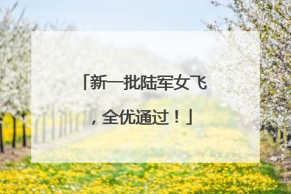 新一批陆军女飞，全优通过！