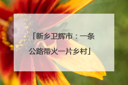 新乡卫辉市：一条公路带火一片乡村