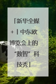 新华全媒+丨中东欧博览会上的“数智”科技秀