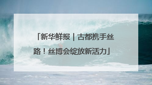 新华鲜报｜古都携手丝路！丝博会绽放新活力