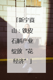 新宁崀山：铁皮石斛产业绽放“花经济”