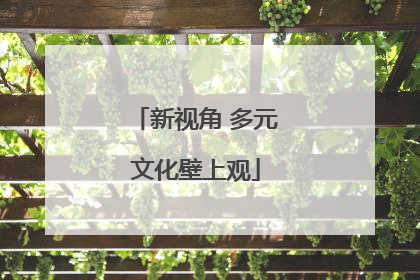 新视角 多元文化壁上观