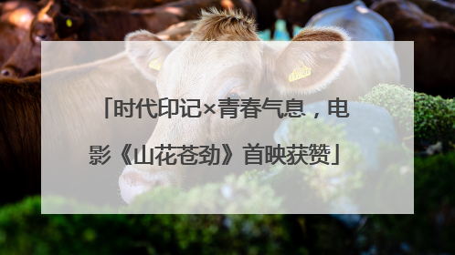 时代印记×青春气息，电影《山花苍劲》首映获赞