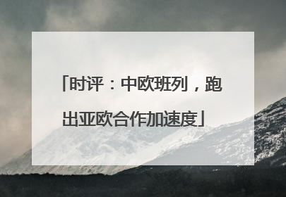 时评：中欧班列，跑出亚欧合作加速度