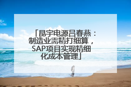 昆宇电源吕春燕：制造业需精打细算，SAP项目实现精细化成本管理
