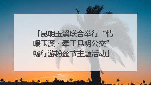 昆明玉溪联合举行“情暖玉溪・牵手昆明公交”畅行游粉丝节主题活动