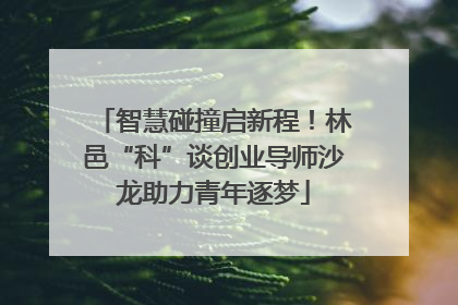 智慧碰撞启新程！林邑“科”谈创业导师沙龙助力青年逐梦