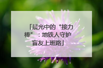 晨光中的“接力棒”：地铁人守护盲友上班路