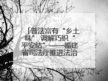 普法富有“乡土味” 调解巧织“平安结”——福建省司法厅推进法治乡村建设出成效