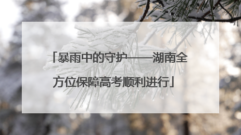 暴雨中的守护——湖南全方位保障高考顺利进行