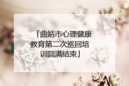 曲靖市心理健康教育第二次巡回培训圆满结束