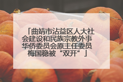 曲靖市沾益区人大社会建设和民族宗教外事华侨委员会原主任委员梅国稳被“双开”