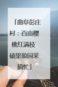 曲阜彭庄村：百亩樱桃红满枝 硕果盈园采摘忙