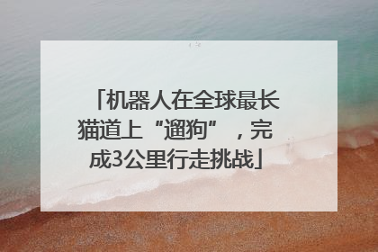 机器人在全球最长猫道上“遛狗”，完成3公里行走挑战