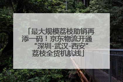 最大规模荔枝助销再添一码！京东物流开通“深圳-武汉-西安” 荔枝全货机航线