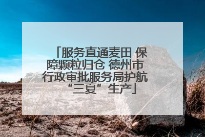 服务直通麦田 保障颗粒归仓 德州市行政审批服务局护航“三夏”生产