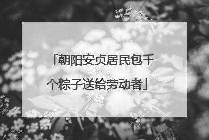 朝阳安贞居民包千个粽子送给劳动者