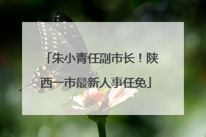 朱小青任副市长！陕西一市最新人事任免