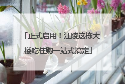 正式启用！江陵这栋大楼吃住购一站式搞定