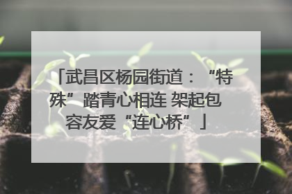 武昌区杨园街道：“特殊”踏青心相连 架起包容友爱“连心桥”