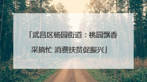 武昌区杨园街道：桃园飘香采摘忙 消费扶贫促振兴