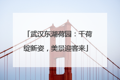 武汉东湖荷园：千荷绽新姿，美景迎客来