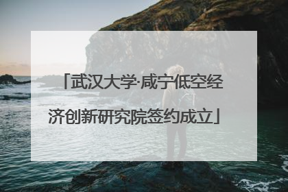 武汉大学·咸宁低空经济创新研究院签约成立