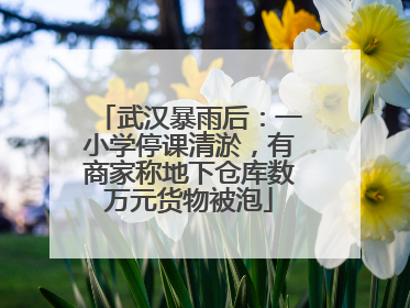 武汉暴雨后：一小学停课清淤，有商家称地下仓库数万元货物被泡