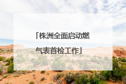 株洲全面启动燃气表首检工作