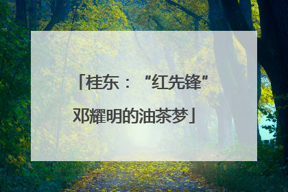 桂东：“红先锋”邓耀明的油茶梦