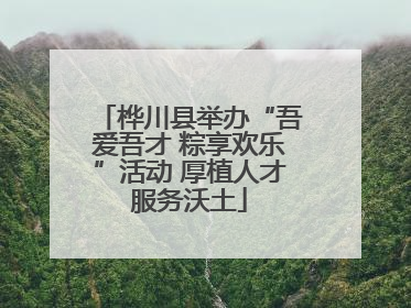 桦川县举办“吾爱吾才 粽享欢乐”活动 厚植人才服务沃土