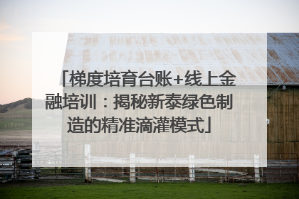 梯度培育台账+线上金融培训：揭秘新泰绿色制造的精准滴灌模式