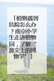 植物遇到危险怎么办？南京小学生走进植物园，了解“鼻尖上的博物学”